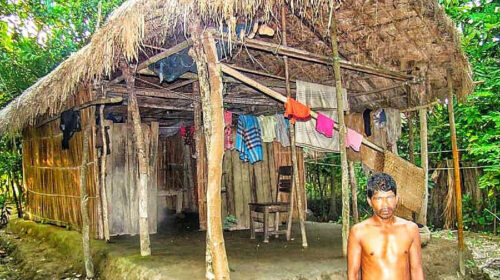 গ্রামীণ জনপদের ঘরবাড়ী