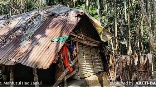 গ্রামীণ জনপদের ঘরবাড়ী