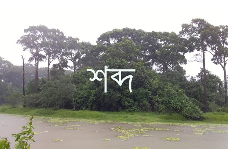 শব্দ