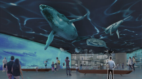 Natural History Museum